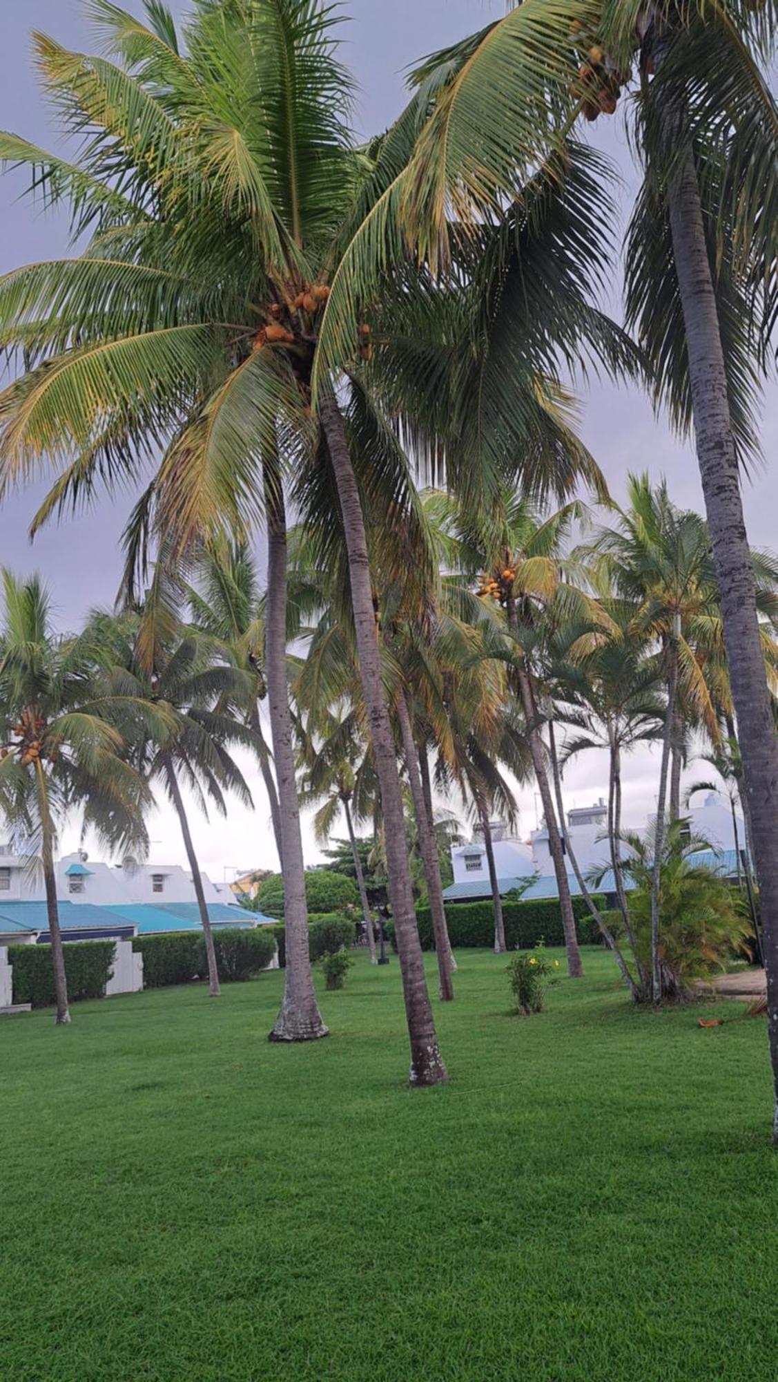Peaceful&Private Villa Grand Baie Exterior foto